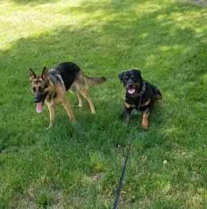 Meet your Posher, Robert